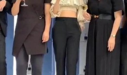 娱乐吃瓜酱衣服在线观看,揭秘明星衣橱，在线观看时尚盛宴